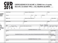 Cud Inps 2014 online