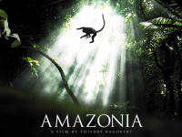 cinema amazzonia film