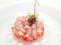 Tartare gamberi