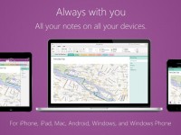 OneNote