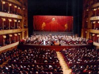 liquidazione opera roma