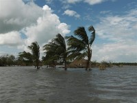 cambiamenti climatici salute